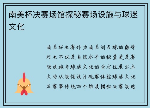 南美杯决赛场馆探秘赛场设施与球迷文化